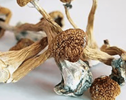 PSYCHEDELICS