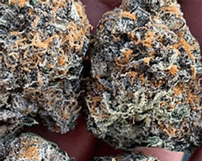 CANNABIS